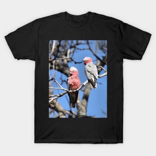 Australian Galahs T-Shirt